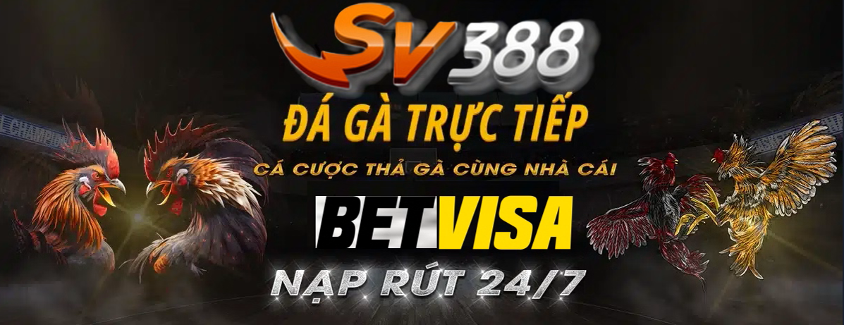 Bj66 | Bj6678.com Link Vào Bj66 Nhà Cái Bj66 Chính Thức 2025 🎖️ Trang giải trí trực tuyến uy tín hàng đầu Châu Á