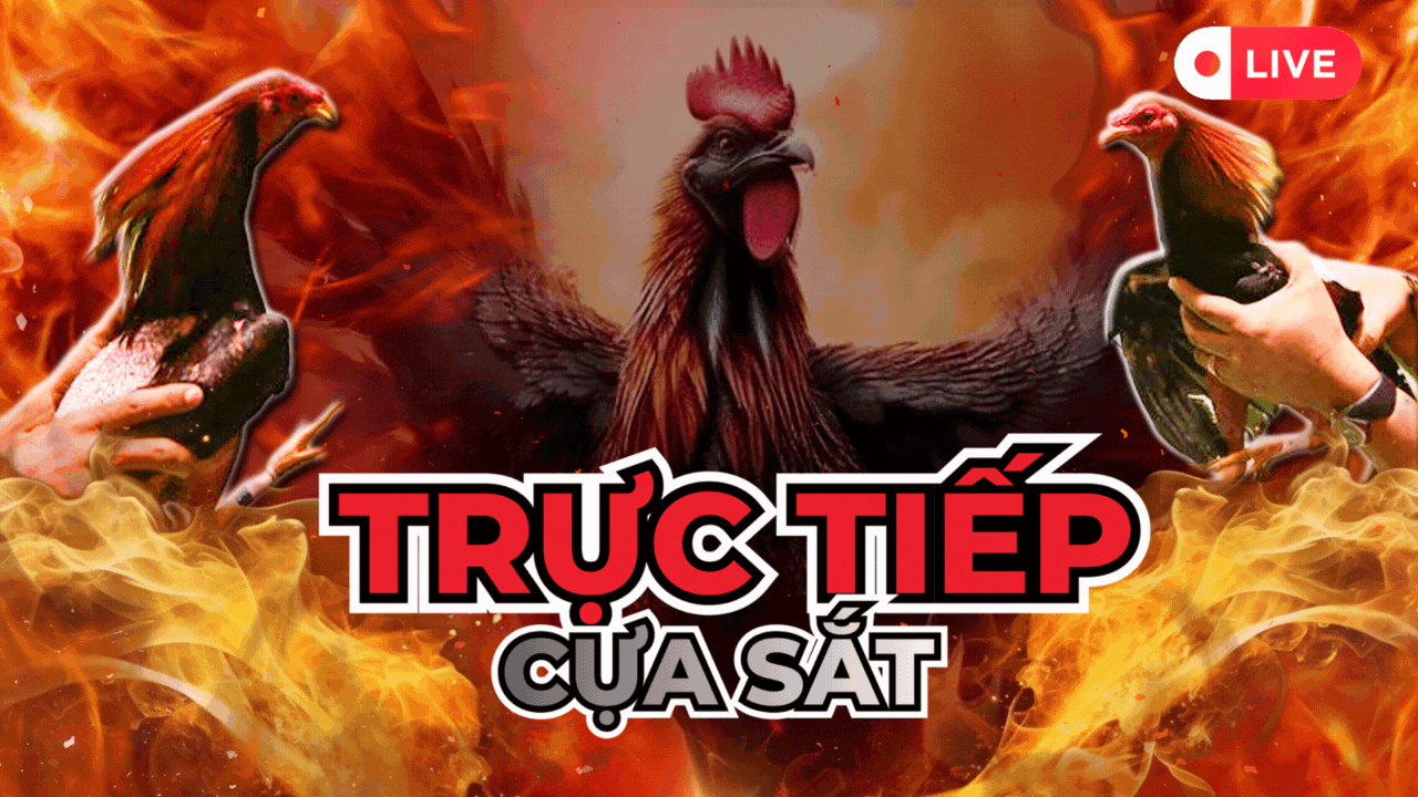 Bj66 | Bj6678.com Link Vào Bj66 Nhà Cái Bj66 Chính Thức 2025 🎖️ Trang giải trí trực tuyến uy tín hàng đầu Châu Á