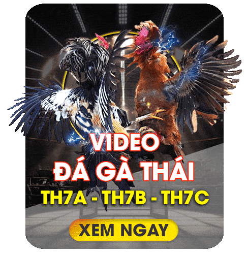 da ga thai bj66