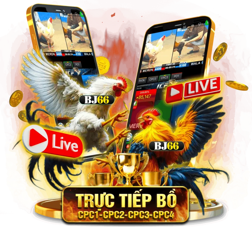 Bj66 | Bj6678.com Link Vào Bj66 Nhà Cái Bj66 Chính Thức 2025 🎖️ Trang giải trí trực tuyến uy tín hàng đầu Châu Á